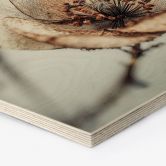 Houten Wanddecoratie droge bloesem beige natuur poëzie - Treechild 
