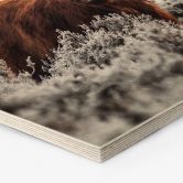 Hexagon Holzbild van den Helm - Highlander 