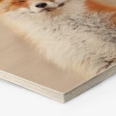 Hexagon - Holz van Duijn - Zufriedener Fuchs 