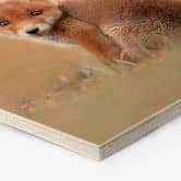 Hexagon - Holz van Duijn - Baby Fuchs 