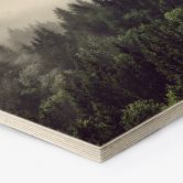 Hexagon - Holz Nebel im Wald 02 