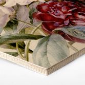 Hexagon - Holz Redouté - Strauß von roten, lila und weißen Pfingstrosen 