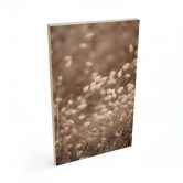 Holzbild Zarte Gräser im Herbstlicht - Collins 