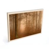 Holzbild Dunst und Licht im herbstlichen Wald - Maier 