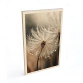 Holzbild Pusteblume in Morgentau - Treechild 