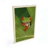 Holzbild Laubfrosch im Regenwald - van Duijn 
