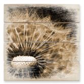 Holzbild Dandelion - 40x41,5 cm 
