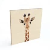 Holzbild Baby Giraffe - Sisi & Seb - Quadratisch 