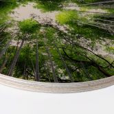 Holzbild Hugonnard - Wald in Japan - Rund 