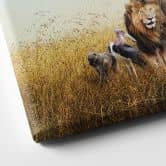 Leinwandbild Afrikanische Tiere 