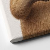 Leinwandbild Capybara mit Herzhand 
