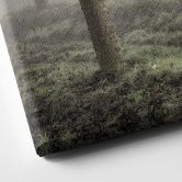 Leinwandbild Carozzi - Märchenhafter Wald im Morgennebel 