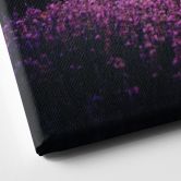 Leinwandbild Lila Lavendelfelder bei Sonnenuntergang - Cevik 