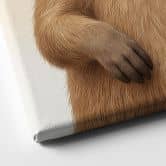 Leinwandbild Cooles Capybara mit Sonnenbrille 