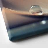 Leinwandbild Story of a Waterdrop | Feder Wandbild - Dmitry 