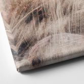 Leinwandbild Verträumte Landschaft mit Holzsteg - Imaginative 