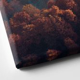 Leinwandbild Herbstwald im Nebel - Ioricon 
