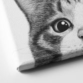 Canvasbillede Nysgerrig kat - Korenkova 