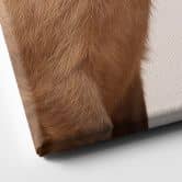 Leinwandbild Kuschelndes Capybara-Pärchen 