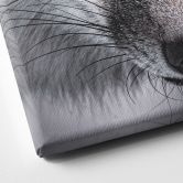Leinwandbild Tierporträt Rotfuchs - Nagi 