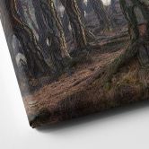 Leinwandbild Heiliger Kiefernwald - Ryu 