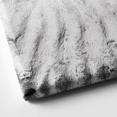 Leinwandbild Fossile Muschel - Shot by Clint 