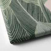 Leinwandbild Calathea Pflanze - Sisi & Seb 
