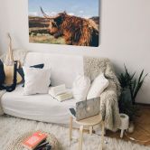 Leinwand Highland Cow 02 