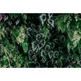 Livingwalls Fototapete Walls by Patel 3 Deep Green 2 grün 
