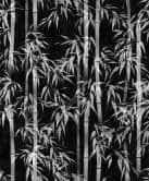 Vliestapete in schwarz, weiß Bambus Blätter Floral Natur  
