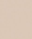 Vliestapete in beige leichte Struktur Uni Modern  