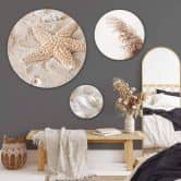Wandbild Muscheln und Seestern am Strand Set (3-teilig) - Alu-Dibond Rund 