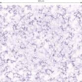 Mustertapete - Marmor - violett 