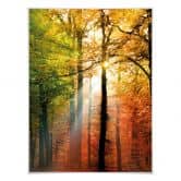 Poster - Goldener Herbst  