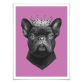 Poster Korenkova - King French Bulldog pink 