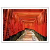 Poster Jardin asiatique 