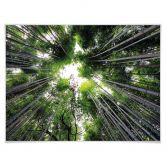 Poster Hugonnard - Wald in Japan 