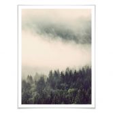 Poster Nebel im Wald 02 