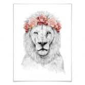 Plakat - Solti - Festival Lion 