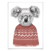 Poster Solti - Koala im Winter 