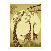 Poster Braun - Giraffes 