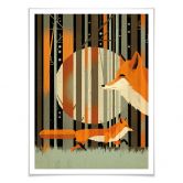 Poster Braun - Midnight Foxes 