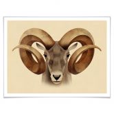 Poster Braun - Urial 
