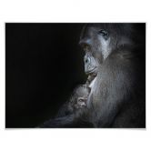 Poster Cuadrado - Tenderness 