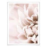 Plakat - 1X Studio - Flowers 