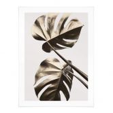 Poster 1X Studio - Goldene Monstera 