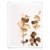 Poster 1X Studio - Goldener Eukalyptus 