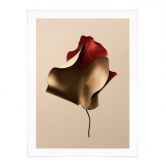 Poster Elegantes Blatt in Gold und Rot - Alma 