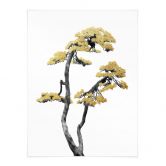 Poster Blühender Bonsai - Pflanzenposter - Amini 