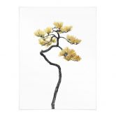 Poster Bonsai in Balance - Amini  